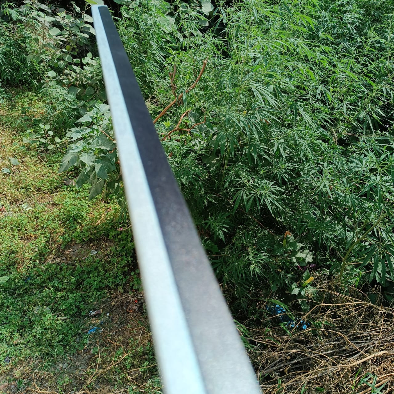 Sasuke katana (Wooden)
